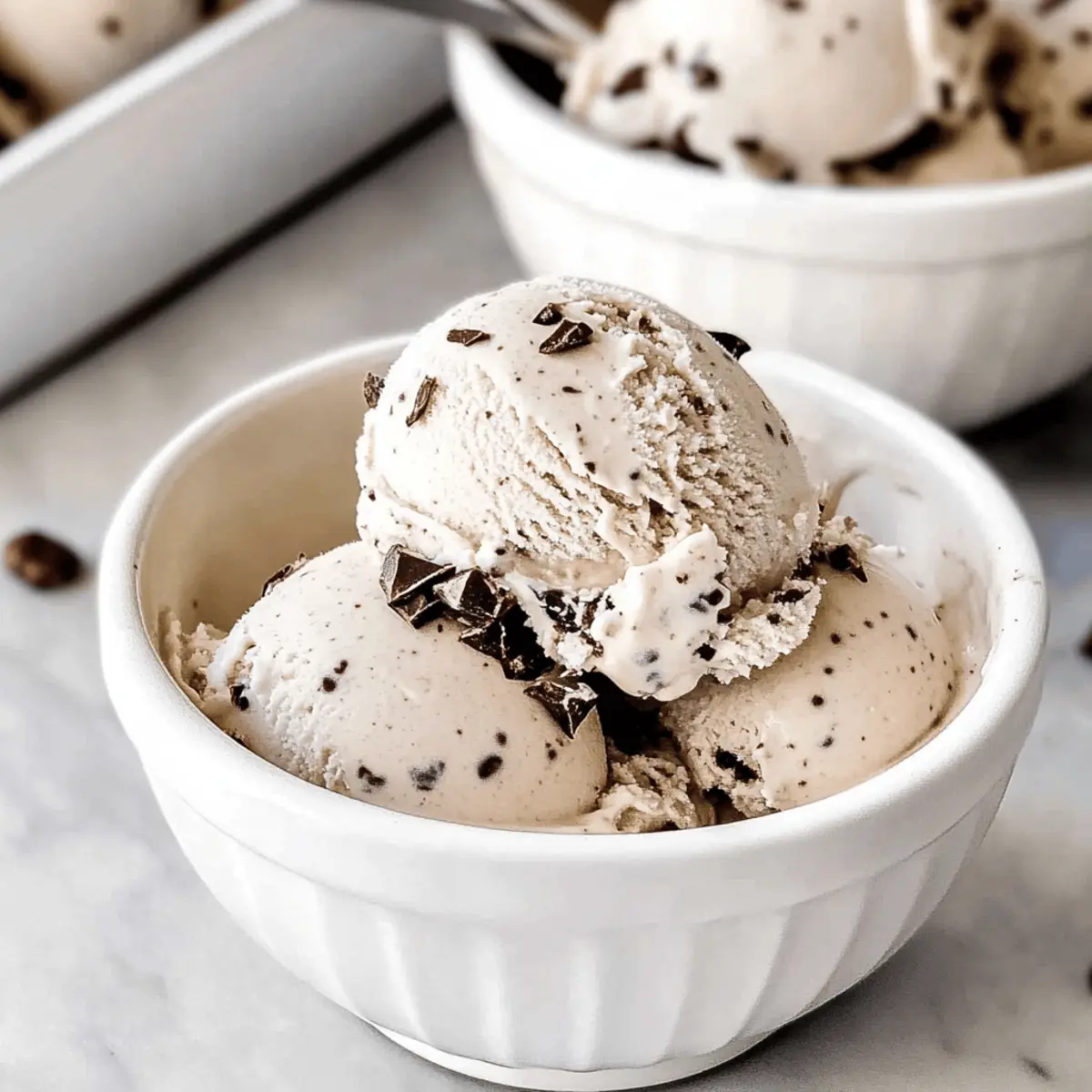 Vegan Cacao Nib Ice Cream