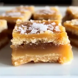 Salted Caramel Butter Bars